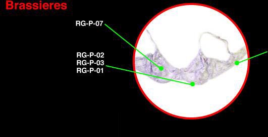 Attachments - Brassieres